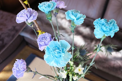 クリスマスイルミネーション